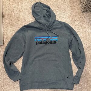 Patagonia Blue and Black Logo Gray Hoodie